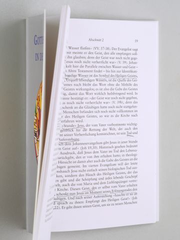   Gottes Geist in der Welt. Hrsg.: Theologisch-Historische, Kommission für das Heilige Jahr 2000. Vorwort von Roger Kardinal Etchegaray. 