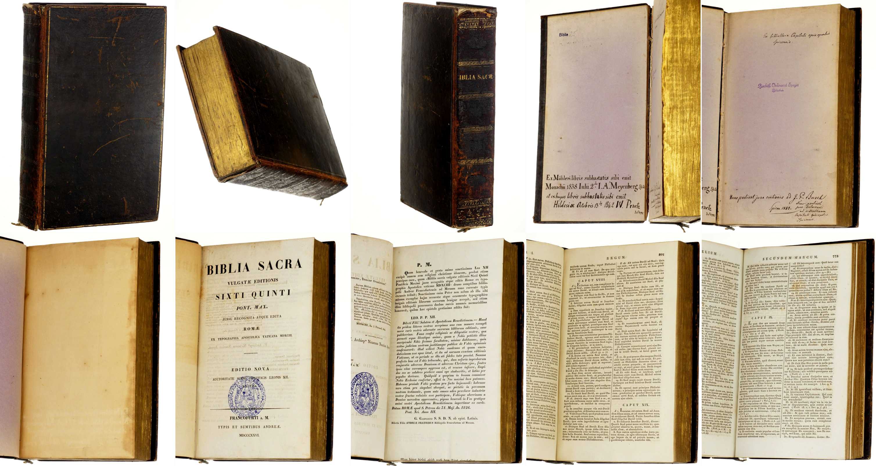   Biblia Sacra Vulgatae editionis. Sixti Quinti Pont. Max. jussu recognita atque edita Romae ex typographia Apostolica Vaticana MDXCIII. 