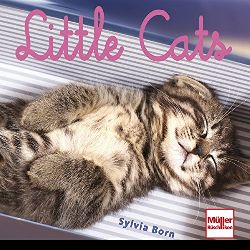 Born, Sylvia:  Little cats. 