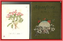 Graf, Ferdinand  Alpenflora. Hundert Alpenpflanzen gemalt von Josef Seboth. 