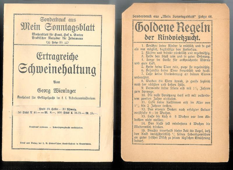 Schweinezucht / Rinderzucht - Wieninger, Georg  Ertragreiche Schweinezucht. Sonderdruck aus "Mein Sonntagsblatt. Wochenblatt für Haus, Hof u. Garten", Folge 20). 