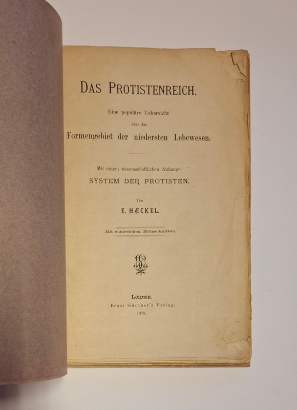 Haeckel, Ernst  Das Protistenreich. Eine populäre Uebersicht über das Formengebiet der niedersten Lebewesen. Mit einem wissenschaftlichen Anhange: System der Protisten. 