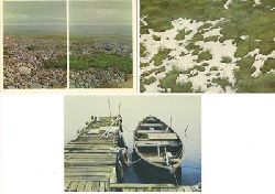 LOUIS - Louis G.N. Busman  3 Kunst - Postkarten : Dyptichon / Schneelandschaft / KAMINKA 