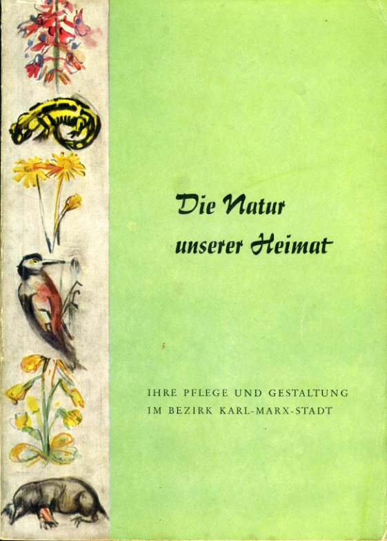 Thümmler, Gerhard:  Die Natur unserer Heimat. Ihre Pflege und Gestaltung im Bezirk Karl-Marx-Stadt. Heimatkundliche Blätter für die Bezirke Dresden, Karl-Marx-Stadt und Leipzig. Sonderheft 2. 