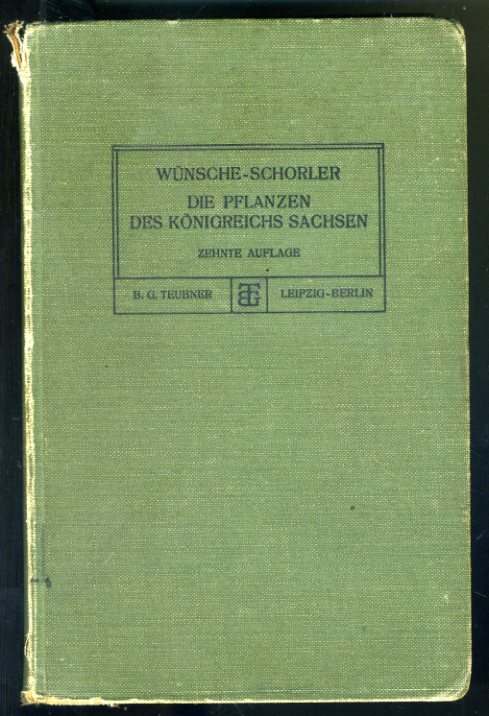 Wünsche, Otto:  Die Pflanzen des Königreichs Sachsen und der angrenzenden Gegenden. Ein Anleitung zu ihrer Kenntnis. 