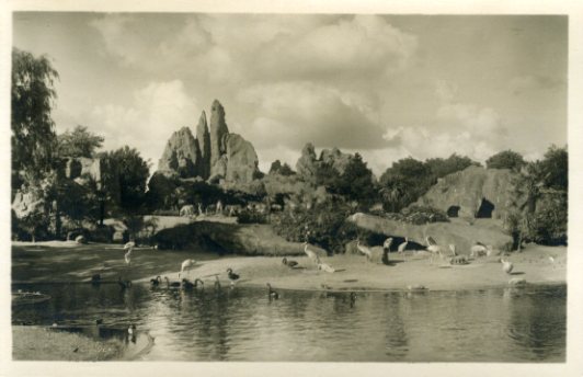   Ansichtskarte. Carl Hagenbeck`s Tierpark, Stellingen-Hamburg. Gesamt-Panorama. 