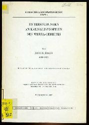 Pflug, Hans Dieter:  Untersuchungen an Kalisalz-Profilen des Werra-Gebietes. Hessisches Lagerstttenarchiv H. 5. 