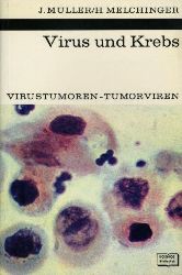 Mller, Johannes und Helga Melchinger:  Virus und Krebs. Virustumoren, Tumorviren. Kosmos. Gesellschaft der Naturfreunde. Die Kosmos Bibliothek 272. 