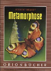 Brandt, Herbert:  Metamorphose. Orionbcher Bd. 119. 