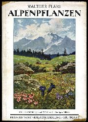 Flaig, Walther:  Alpenpflanzen. Die Pflanzenwelt der Hochgebirge in ihrer Umwelt dargestellt nach naturgetreuen Zeichnungen und Photographien. 