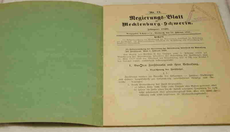   Regierungsblatt für Mecklenburg-Schwerin Nr. 24, Jahrgang 1920. 