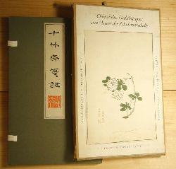   Chinesisches Gedichtpapier vom Meister der Zehnbambushalle. 