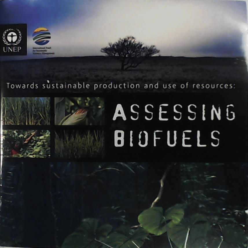 United Nations  Towards Sustainable Production and Use of Resources: Assessing Biofuels (includes Cd-rom) 