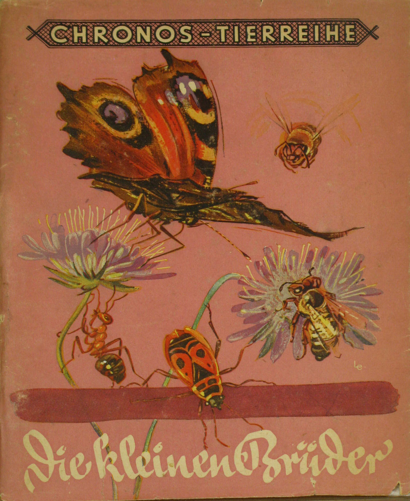 Autorenkollektiv:  Die kleinen Brüder. Von Faltern, Bienen und anderen zarten Geschöpfen. 