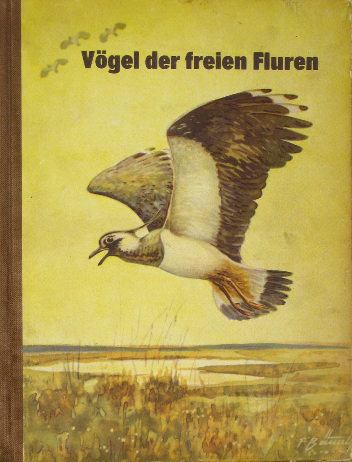 Müller, Hans Joachim:  Vögel der freien Fluren 
