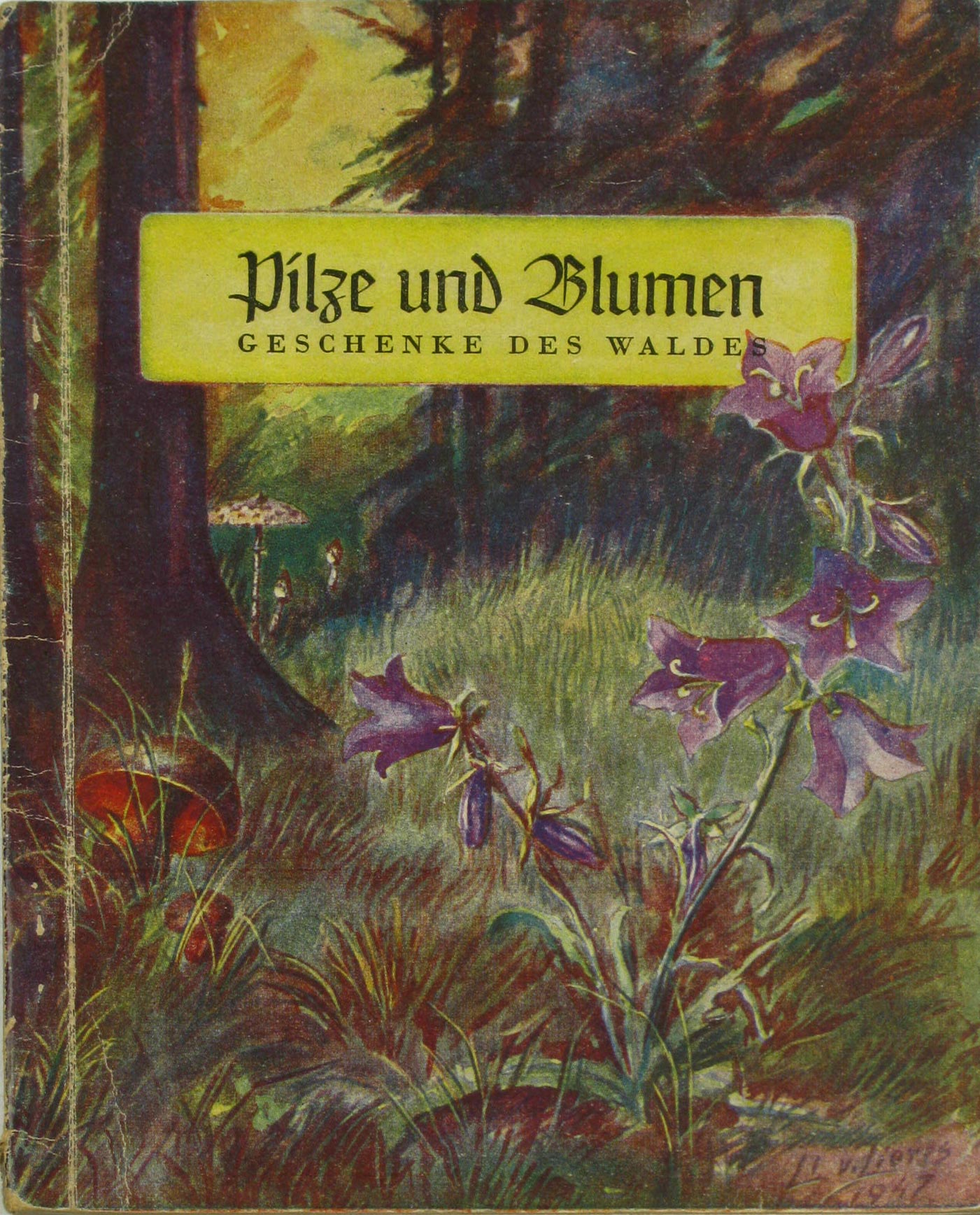 v. Lieres, Li:  Pilze und Blumen. Geschenke des Waldes. 