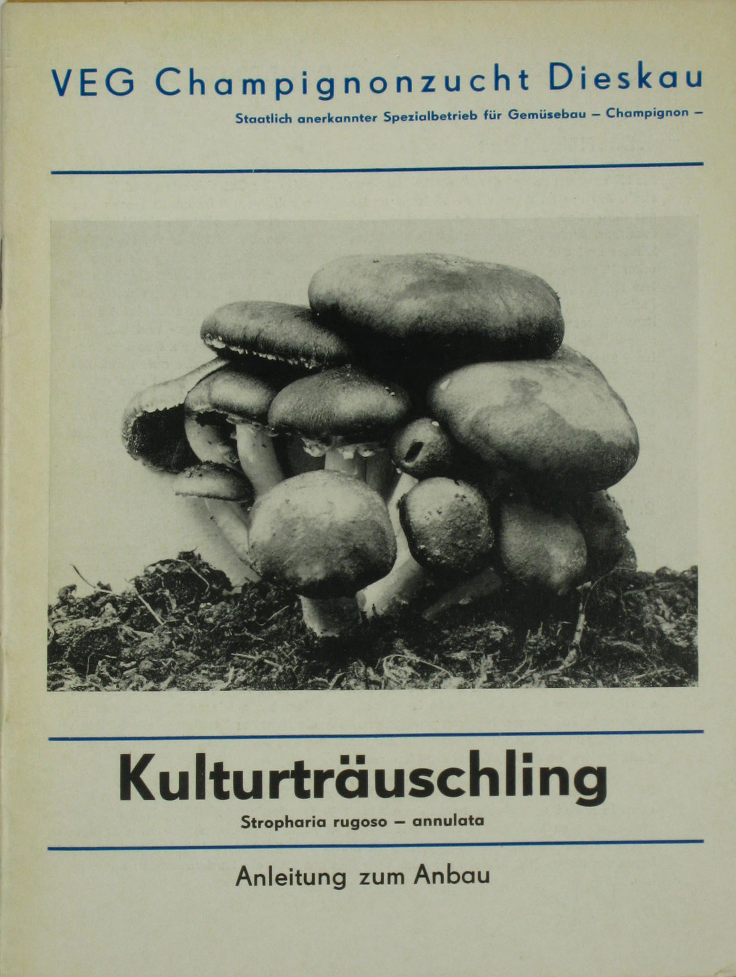 Autorenkollektiv:  Kulturträuschling. Anleitung zum Anbau. 