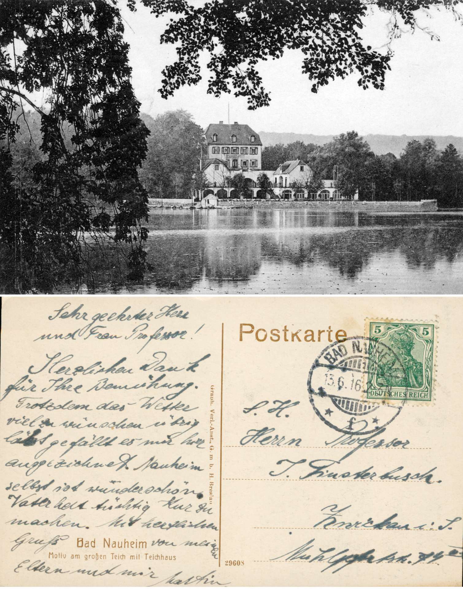   AK Bad Nauheim - Motiv am großen Teich mit Teichhaus 