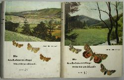 Bergmann, Arno:  Die Groschmetterlinge Mitteldeutschlands (Bnde 4/1 und 4/2). Eulen (Verbreitung, Formen und Lebensgemeinschaften). 