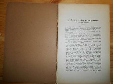 Wiskott, Max:  Lepidopteren - Zwitter meiner Sammlung. Verein für Schlesische Insektenkunde. Werbeschrift zum Hauptwerk "Festschrift Hermaphroditen". 