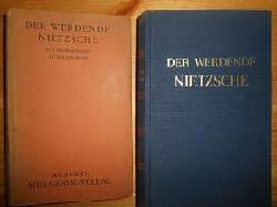 Frster-Nietzsche, Elisabeth (Hrsg.):  Der werdende Nietzsche. Autobiographie und Aufzeichnungen. 