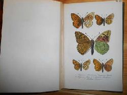 Berce (Jean tienne, 1803-1879):  Les Papillon de France. Gravures. Tafelwerk. 61 Stahlstiche, davon 58 handkolorierte Stahlstiche (Schmetterlinge der Fauna Frankreichs) / 61 gravures sur acier, dont 58 gravures en acier colories  la main (papillons de la faune de France). 