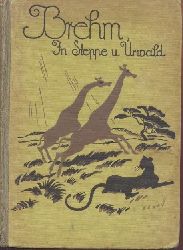 Brehm, Alfred E. - Neumann, Carl W. (Hrsg.)  Brehm. In Steppe und Urwald. Reise, Jagden und Tiergeschichten. Hrsg. von Carl W. Neumann. 