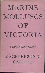 MacPherson, J. Hope u. C. J. Gabriel  Marine Molluscs of Victoria. 