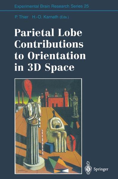 Thier, P. and H.-O. Karnath:  Parietal lobe contributions to orientation in 3D space. (=Experimental brain research / Series ; 25). 