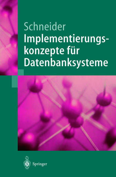 Schneider, Markus:  Implementierungskonzepte für Datenbanksysteme. 