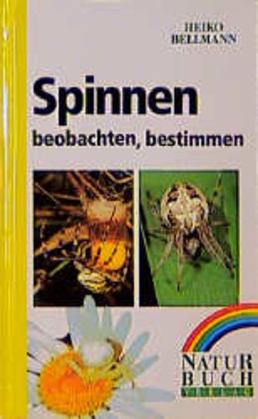 Bellmann, Heiko:  Spinnen : beobachten - bestimmen. 