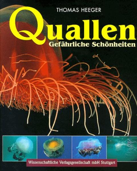 Heeger, Thomas:  Quallen : gefährliche Schönheiten. 