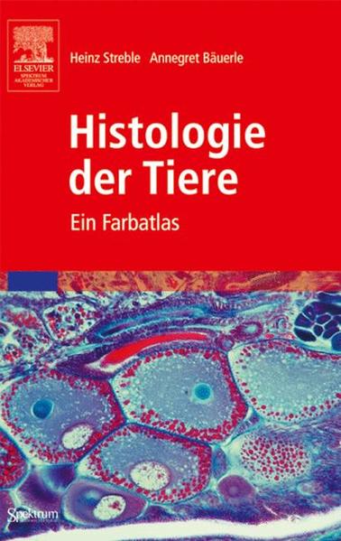 Streble, Heinz und Annegret Bäuerle:  Histologie der Tiere: Ein Farbatlas 