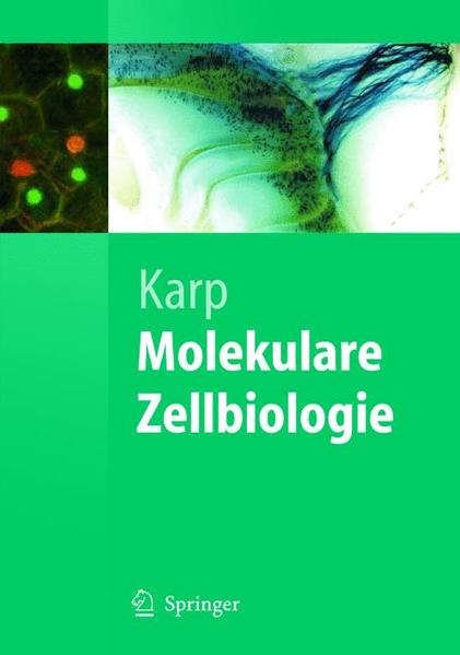 Karp, Gerald:  Molekulare Zellbiologie. 