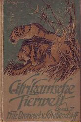 Bronsart von Schellendorff, Fritz:  Afrikanische Tierwelt. Band 5 V. Lwen 2 II. 