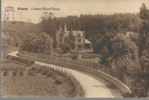 ohne Autor  Ansichtskarte Falaen (Chateau (Faind Fania) 