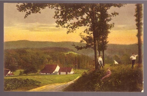   Ansichtskarte Bad Rothenfelde. Noller Schlucht 