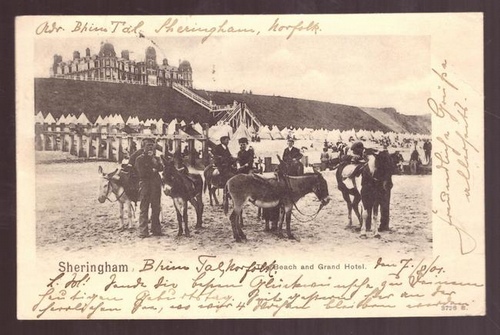   Ansichtskarte AK Sheringham. The Beach and the Grand Hotel (mit Eseln) 