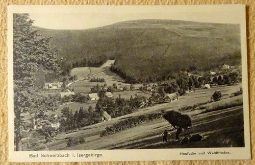   Ansichtskarte AK Bad Schwarzbach i. Isergebirge. Heufuder und Waldfrieden 