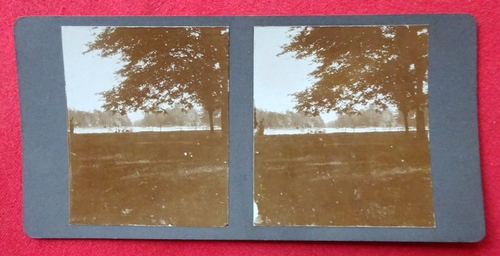   Original Stereoskopie.-Fotografie (Stereobild. Stereophotographie). Paris 1913. See im Bois de Boulogne 