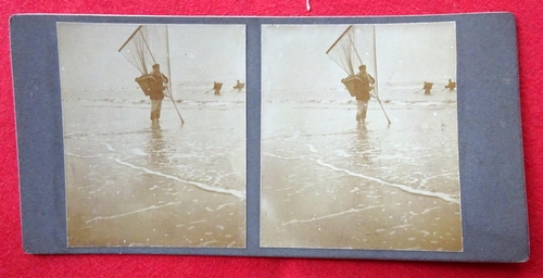   Original Stereoskopie.-Fotografie (Stereobild. Stereophotographie). Ostende 1908. Crevettenfischer 