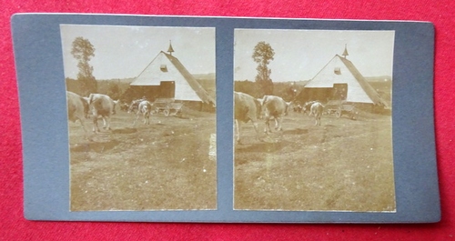   Original Stereoskopie-Fotografie (Stereobild. Stereophotographie). Schwarzwaldhaus bei Neueck 1910 