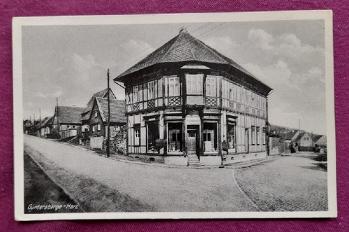   AK Ansichtskarte Güntersberge / Harz, Häuser Straßenansicht 