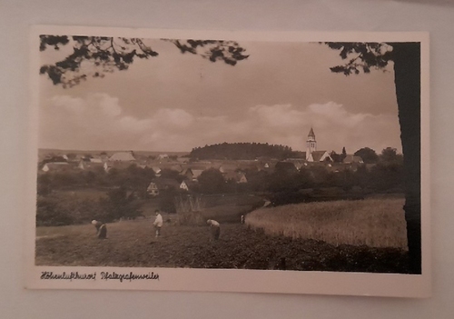  Ansichtskarte AK Höhenluftkurort Pfalzgrafenweiler / Schwarzwald 