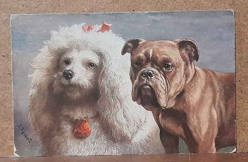 Reichert, C.  Ansichtskarte AK Künstlerkarte v. C. Reichert "2 Hunde" (Pudel, Boxer) 