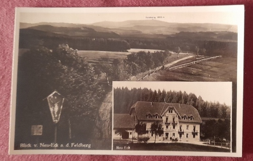   Ansichtskarte AK Blick von Neu-Eck a.d. Feldberg mit Höhenkurhaus Neu-Eck Schwarzwald Fernruf Furtwangen (Bes. A. Straub) 