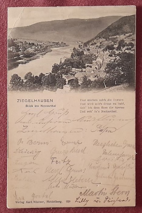   Ansichtskarte AK Ziegelhausen. Blick ins Neckartal 