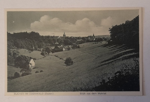 Buchen  Ansichtskarte AK Buchen im Odenwald. Blick aus dem Mühltal 