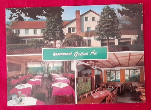   Ansichtskarte AK Restaurant - Cafe Grüne Au 747 Ebingen (3 Motive) 