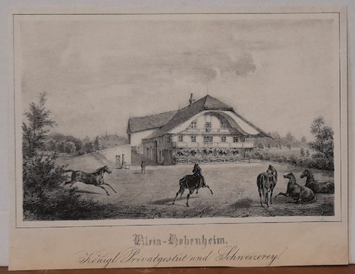 unbekannt  Stich / Lithographie "Klein-Hohenheim. königliches Privatgestüt und Schneizerey" 